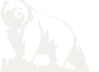 bear-icon