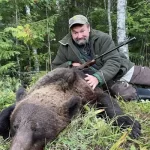 brown-bear-Karelia